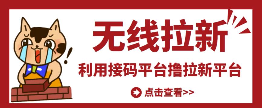 最新接码无限拉新项目,利用接码平台赚拉新平台差价,轻松日赚500+-赚金金-技能学习分享