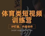 篮球小人物·体育类短视频教学课程,篮球解说账号的IP打造方法和内容创作课-赚金金-技能学习分享
