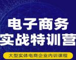 民赛电气内部出品:电子商务实战特训营,全方位带你入门电商,308种方式玩转电商-赚金金-技能学习分享