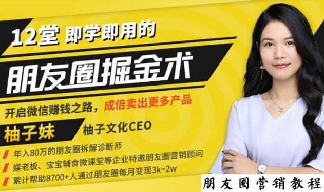 【营销必学】12堂学之即用的朋友圈掘金术:开启你的副业赚钱之路-赚金金-技能学习分享