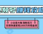 玩转微信视频号赚钱:小白变大咖涨粉百万实现快速变现1000万的现金流-赚金金-技能学习分享