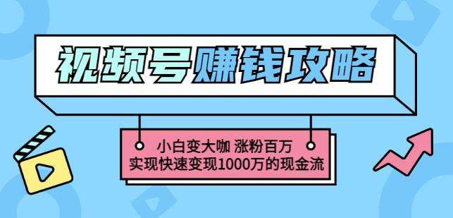 玩转微信视频号赚钱:小白变大咖涨粉百万实现快速变现1000万的现金流-赚金金-技能学习分享