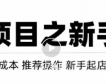 虚拟项目快速起店模式，0成本打造月入几万虚拟店铺！-赚金金-技能学习分享