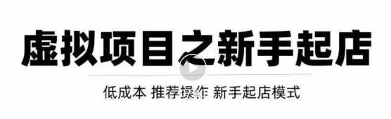 虚拟项目快速起店模式,0成本打造月入几万虚拟店铺!-赚金金-技能学习分享