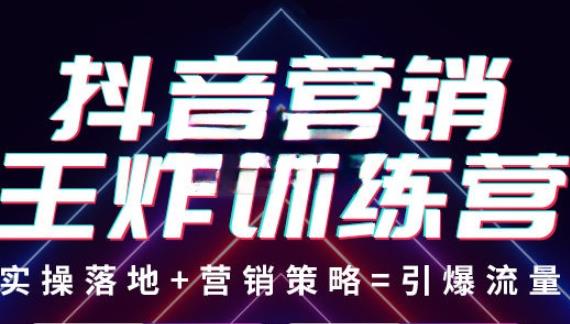 抖音营销王炸训练营,实操落地+营销策略=引爆流量(价值8960元)-赚金金-技能学习分享