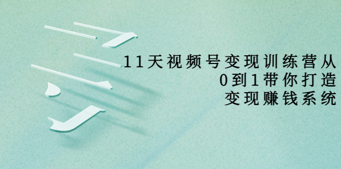 11天视频号变现训练营,从0到1打造变现赚钱系统(价值398元)-赚金金-技能学习分享