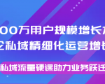 8000万用户规模增长方法论私域精细化运营增长，私域流量硬课助力业务跃迁-赚金金-技能学习分享