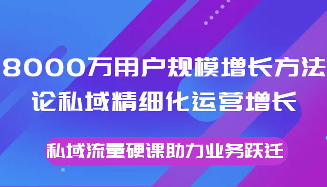 8000万用户规模增长方法论私域精细化运营增长，私域流量硬课助力业务跃迁-赚金金-技能学习分享