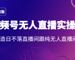 2022年视频号无人直播实操课，打造日不落直播间跟纯无人直播间-赚金金-技能学习分享