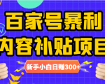 百家号暴利内容补贴项目，图文10元一条，视频30一条，新手小白日赚300+-赚金金-技能学习分享