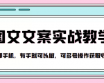 抖音图文文案实战教学,一部手机,有手就可以做,可多号操作获取收益-赚金金-技能学习分享