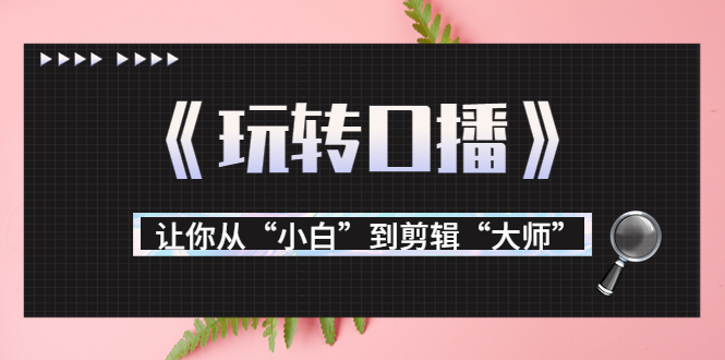 月营业额700万+大佬教您《玩转口播》让你从“小白”到剪辑“大师”-赚金金-技能学习分享