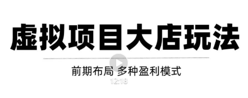 虚拟项目月入几万大店玩法分享，多店操作利润倍增（快速起店盈利）-赚金金-技能学习分享