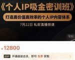 个人IP吸金密训班,打造高价值高效率的个人IP内容体系(价值12800元)-赚金金-技能学习分享