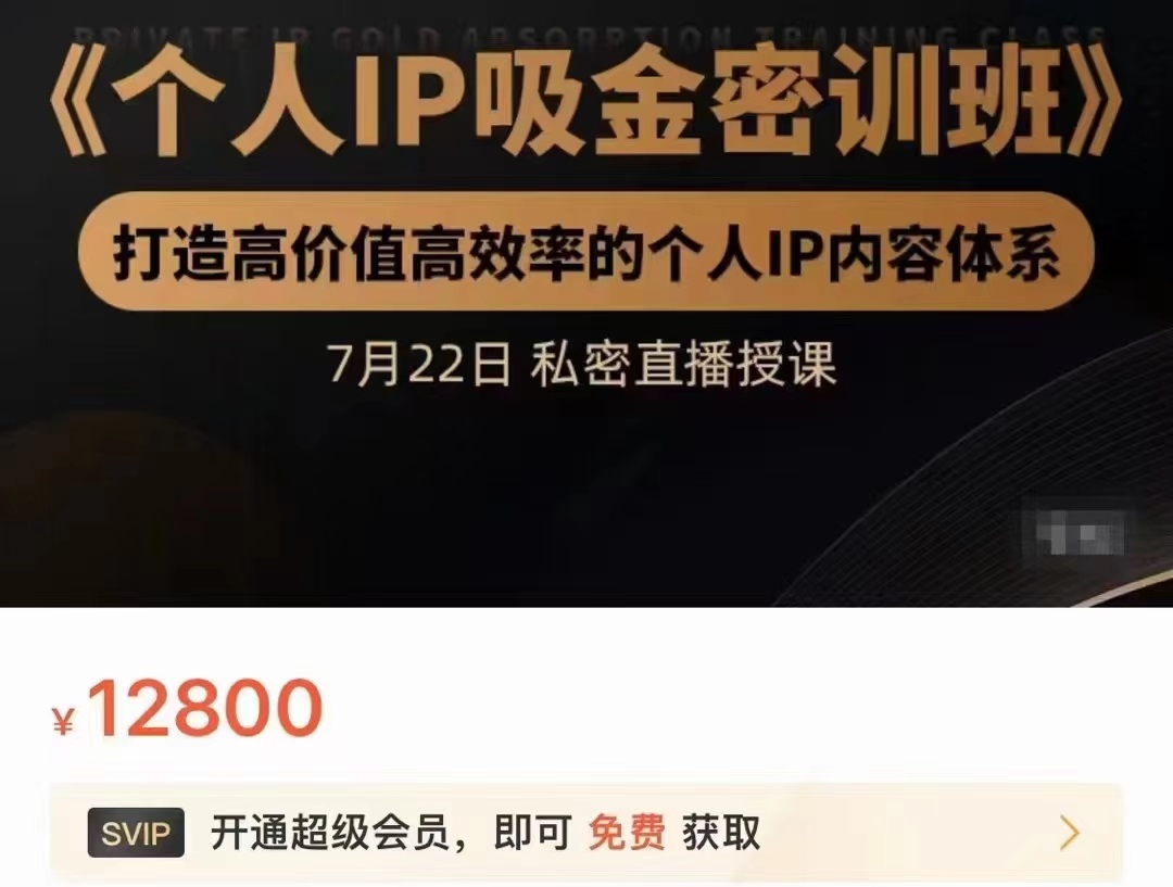 个人IP吸金密训班，打造高价值高效率的个人IP内容体系（价值12800元）-赚金金-技能学习分享