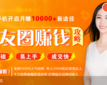 全网千万人气导师亲授：零基础/易上手的朋友圈赚钱攻略，让你轻松月入过万-赚金金-技能学习分享