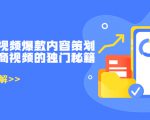 带货短视频爆款内容策划，关于电商视频的独门秘籍（价值499元）-赚金金-技能学习分享