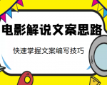 电影解说文案思路课，让你快速掌握文案编写的技巧（3节视频课程）-赚金金-技能学习分享