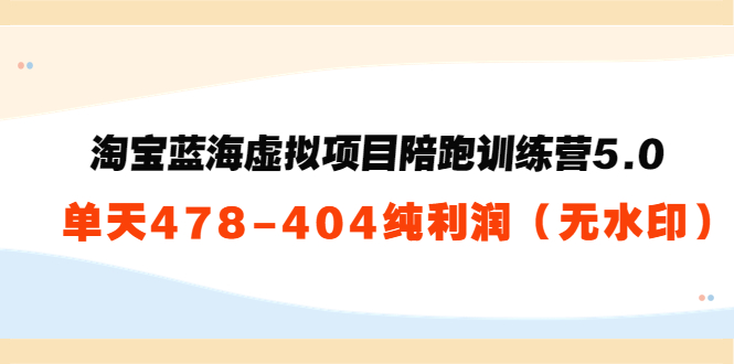 淘宝蓝海虚拟项目陪跑训练营5.0：单天478纯利润-赚金金-技能学习分享