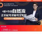 0粉0作品自然流正价起号及稳号全教程,专业自然流起号机构流程化教学(价值2980元)-赚金金-技能学习分享