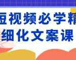 短视频必学精细化文案课,提升你的内容创作能力、升级迭代能力和变现力(价值333元)-赚金金-技能学习分享