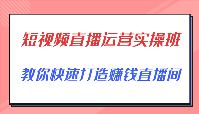 短视频直播运营实操班，直播带货精细化运营实操，教你快速打造赚钱直播间-赚金金-技能学习分享
