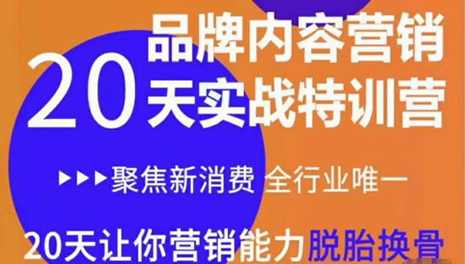 《内容营销实操特训营》20天让你营销能力脱胎换骨（价值3999）-赚金金-技能学习分享
