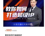 教你如何打造超级IP,抖音流量红利新机遇(价值980元)-赚金金-技能学习分享