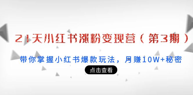 21天小红书涨粉变现营（第3期）：带你掌握小红书爆款玩法，月赚10W+秘密-赚金金-技能学习分享