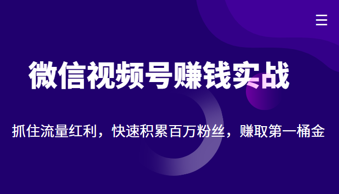微信视频号赚钱实战：抓住流量红利，快速积累百万粉丝，赚取你的第一桶金-赚金金-技能学习分享