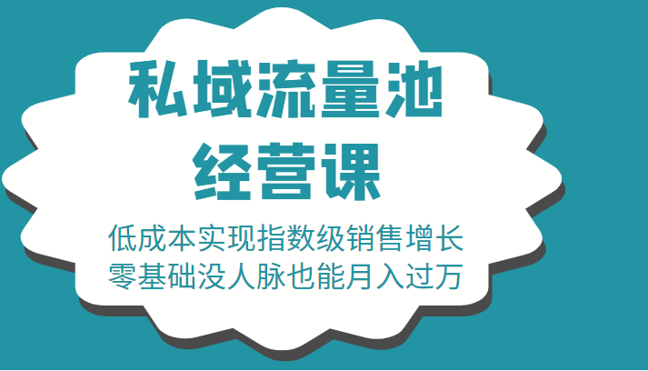 16堂私域流量池经营课:低成本实现指数级销售增长,零基础没人脉也能月入过万-赚金金-技能学习分享