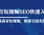 抖音短视频Seo搜索排名优化新手快速入门教程，实体商家短视频，精准引流实操课-赚金金-技能学习分享