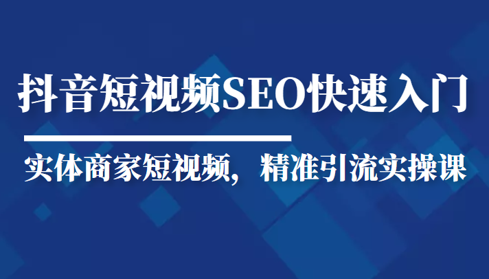 抖音短视频Seo搜索排名优化新手快速入门教程,实体商家短视频,精准引流实操课-赚金金-技能学习分享