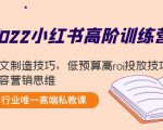 2022小红书高阶训练营：爆文制造技巧，低预算高roi投放技巧，内容营销思维-赚金金-技能学习分享