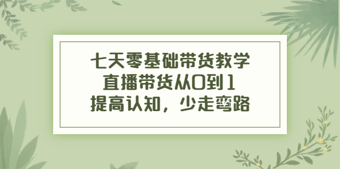 七天零基础带货教学,直播带货从0到1,提高认知,少走弯路-赚金金-技能学习分享