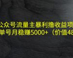 公众号流量主暴利撸收益项目,单人单号月稳赚5000+(价值480元)-赚金金-技能学习分享