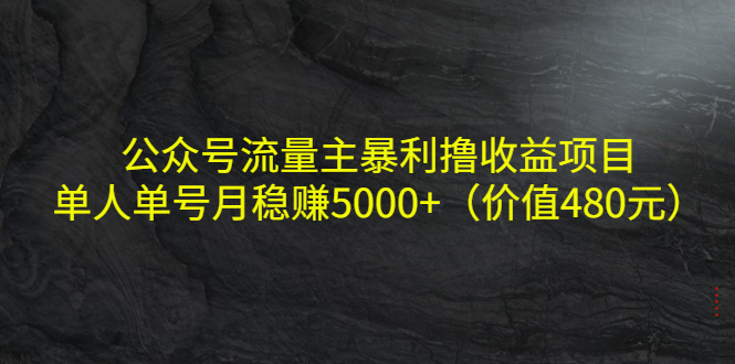 公众号流量主暴利撸收益项目,单人单号月稳赚5000+(价值480元)-赚金金-技能学习分享