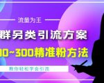 价值888的QQ群另类引流方案，半自动操作日200~300精准粉方法【视频教程】-赚金金-技能学习分享