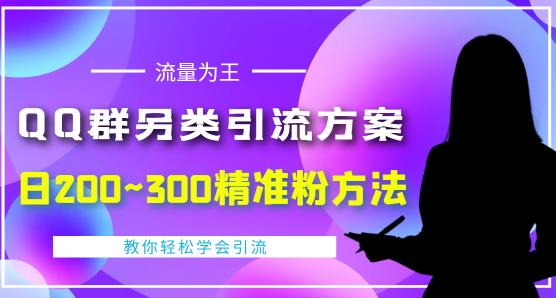价值888的QQ群另类引流方案,半自动操作日200~300精准粉方法【视频教程】-赚金金-技能学习分享