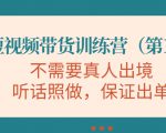 视频带货训练营,不需要真人出境,听话照做,保证出单(第11期)-赚金金-技能学习分享