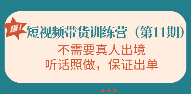 视频带货训练营,不需要真人出境,听话照做,保证出单(第11期)-赚金金-技能学习分享