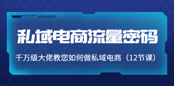 私域电商流量密码:千万级大佬教您如何做私域电商(12节课)-赚金金-技能学习分享