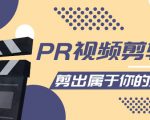 PR视频剪辑课:各种剪辑与视频特效玩法,剪出属于你的大片-赚金金-技能学习分享