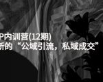 新媒体IP内训营(12期),一套全新的“公域引流,私域成交”IP打法,直接带走-赚金金-技能学习分享