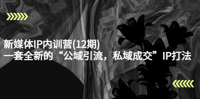 新媒体IP内训营(12期),一套全新的“公域引流,私域成交”IP打法,直接带走-赚金金-技能学习分享