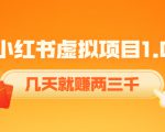 《小红书虚拟项目1.0》账号注册+养号+视频制作+引流+变现,几天就赚两三千-赚金金-技能学习分享