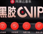 网易云音乐撸黑胶年卡及变现方法,收益可无限放大-赚金金-技能学习分享