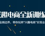 兴趣电商全新训练营:打破品销边界,带你玩转“兴趣电商“实现业务增长-赚金金-技能学习分享