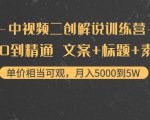 中视频二创解说训练营:从0到精通 文案+标题+素材、月入5000到5W-赚金金-技能学习分享