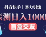 日收益1000+的交友盲盒副业丨有手就行的抖音快手暴力引流-赚金金-技能学习分享